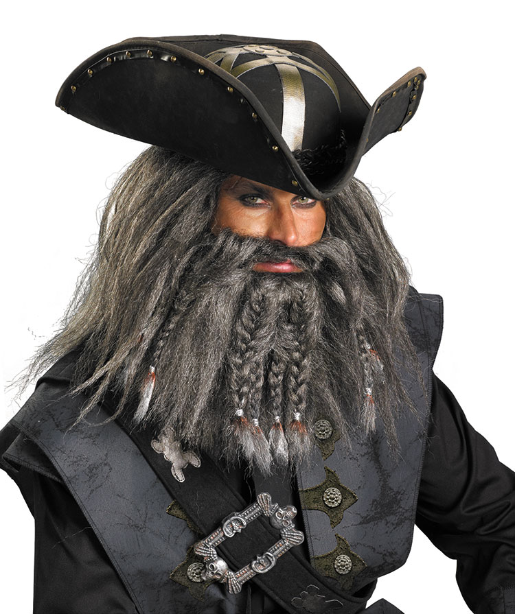 Pirates of the Caribbean Blackbeard Facial Hair Accessory