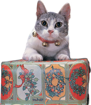 Jingle Cat Collar - Click Image to Close
