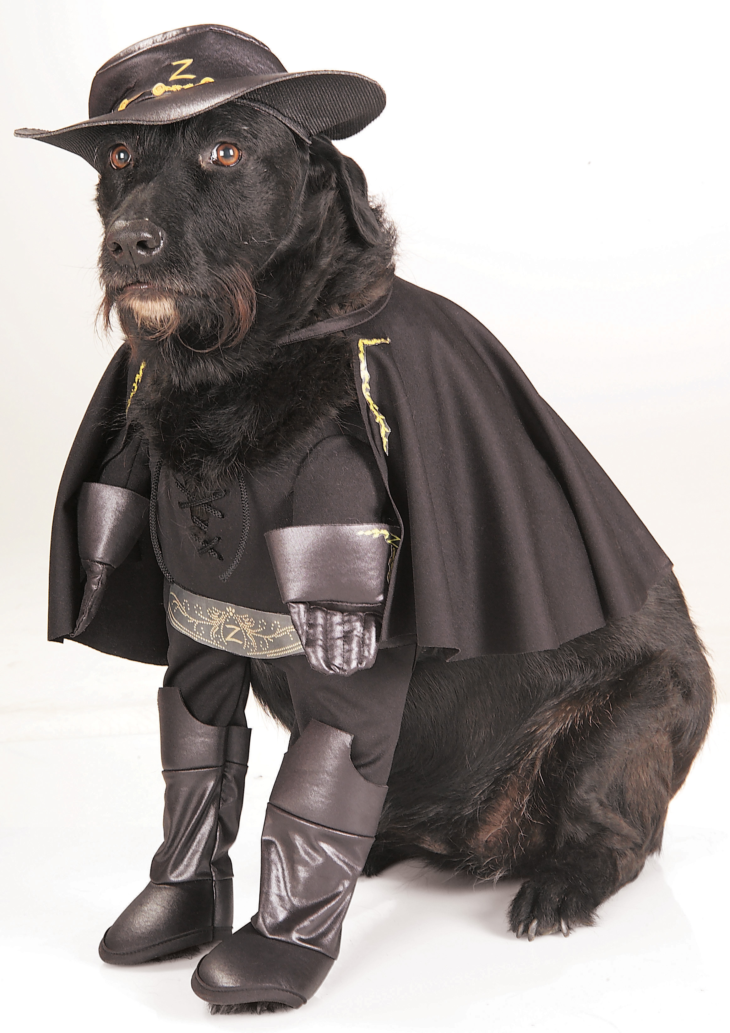 Zorro™ Pet Costume S,M,L,XL