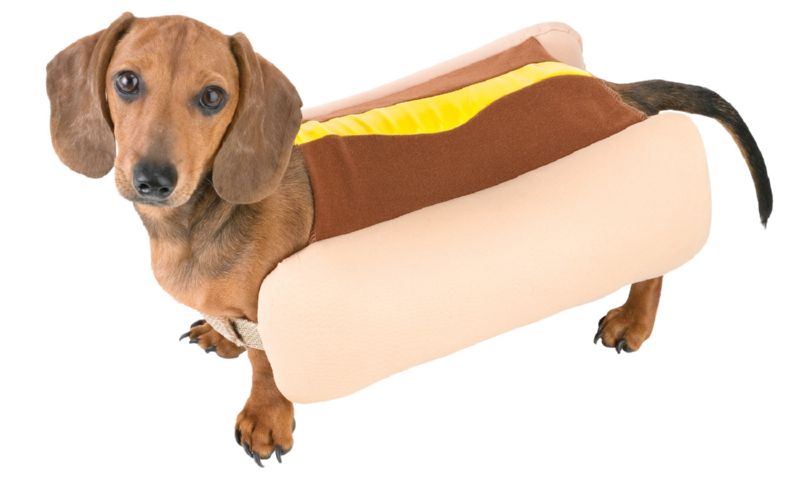 Hot Dog Medium 15"-19"