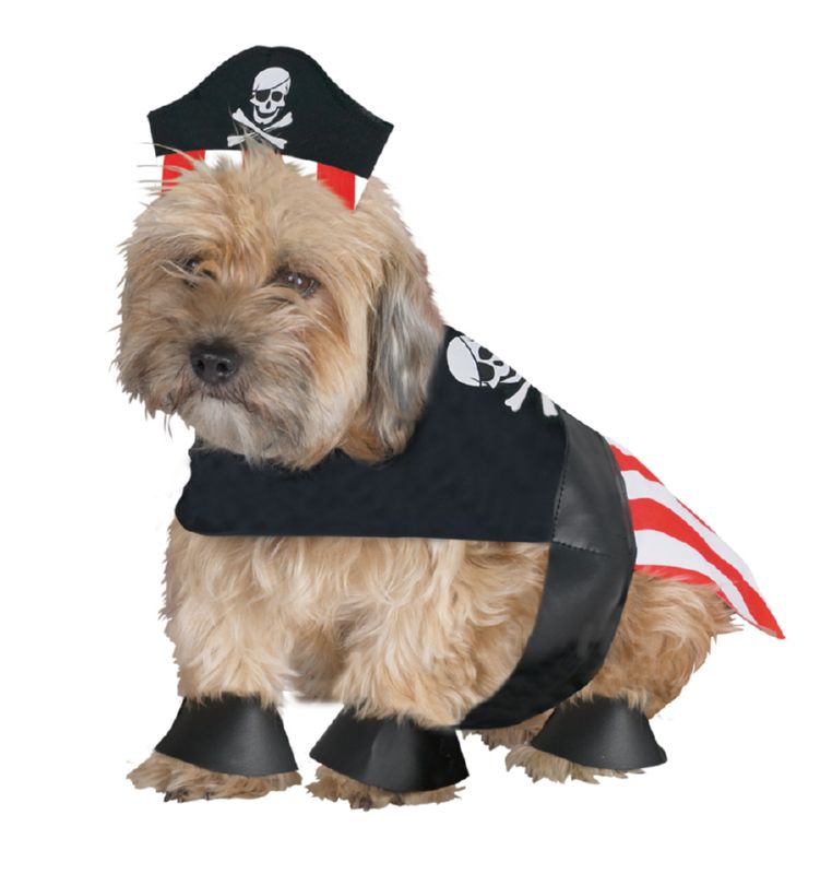 Pirate Dog Medium
