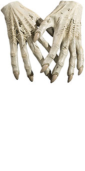 Harry Potter Dementor Adult Hands - Click Image to Close