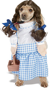 Wizard of Oz Dorothy™ Pet Costume - Click Image to Close