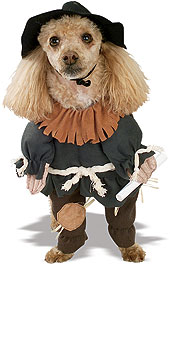 Wizard of Oz Scarecrow™ Pet Costume - Click Image to Close